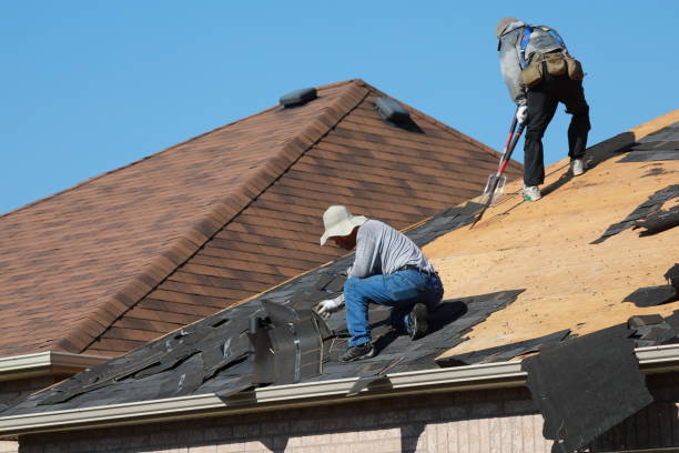 Best Roofing for New Construction  in York, AL