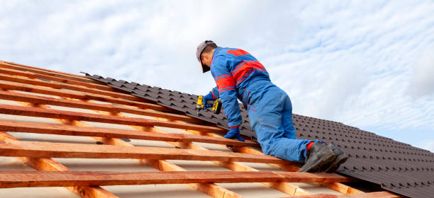 Best Roof Insulation Installation  in York, AL