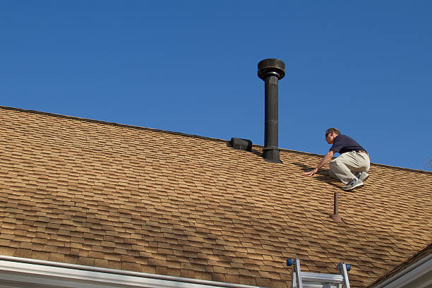 Best Roof Maintenance and Cleaning  in York, AL